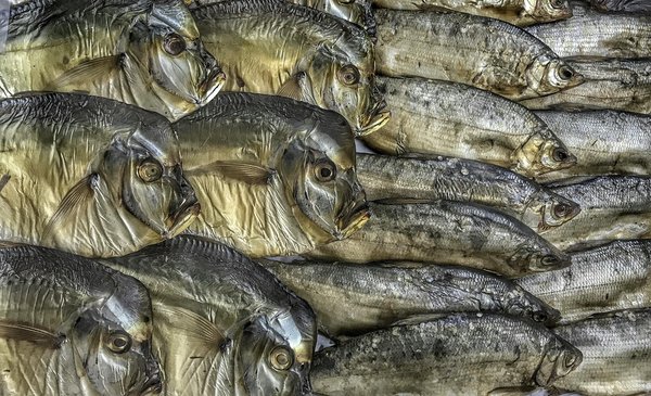 Les incontournables de l'actualité de la santé et du bien-être